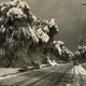 Illustration for article titled L.A. Weather Isnt Always Perfect: Snow Hurricanes in the Southland